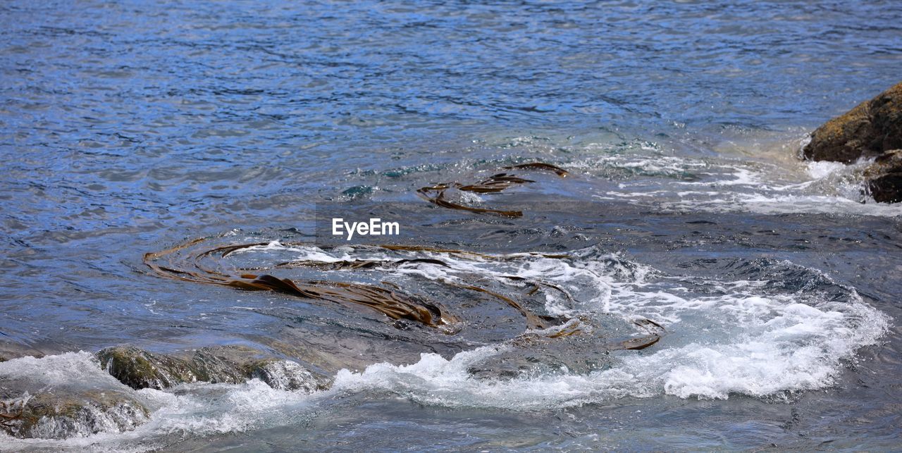 CLOSE-UP OF SEA