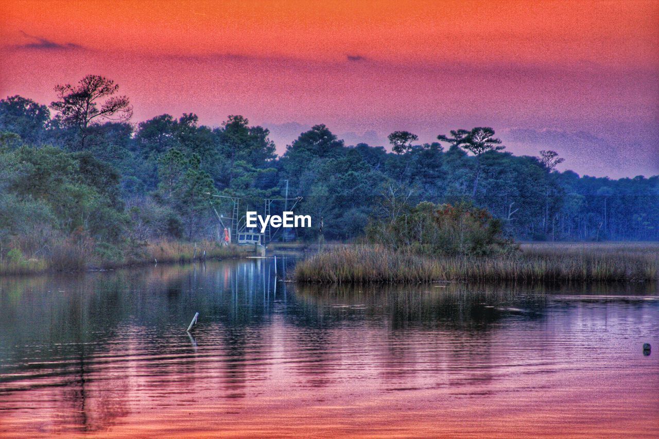 SCENIC VIEW OF LAKE BY TREES AGAINST SKY