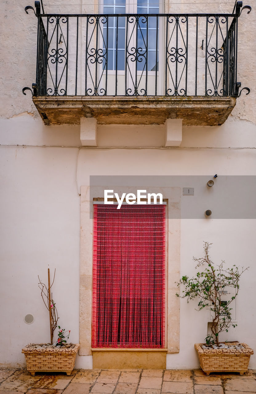 Potted plant on wall of building