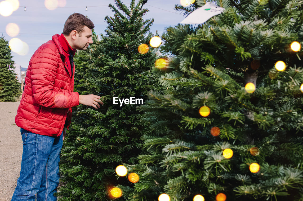 low angle view of christmas tree at park