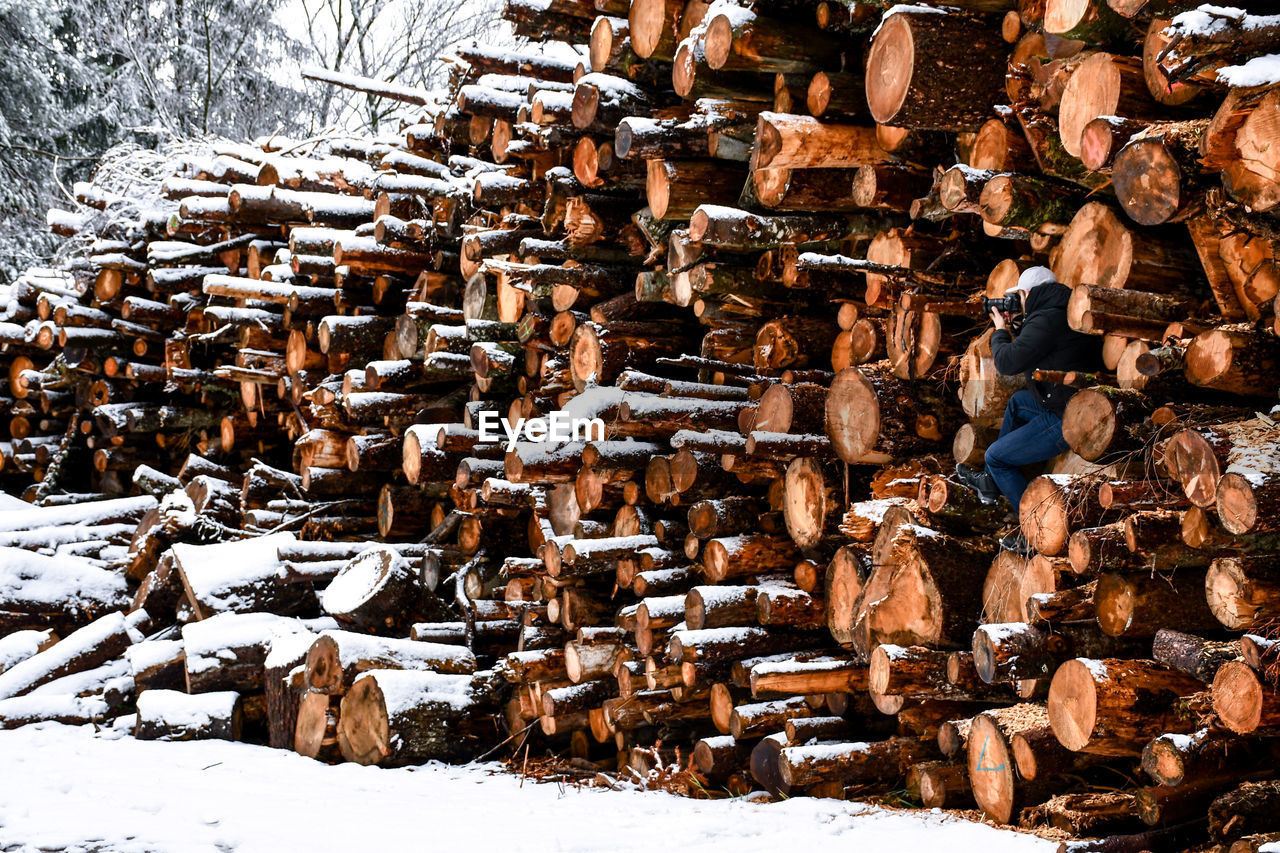 Man sitting on logs during winter