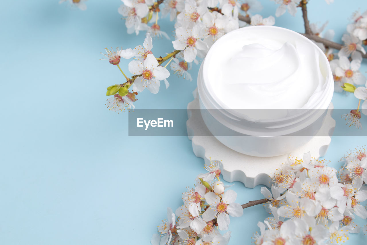 Container with bodycare and skincare cream on a blue background with blooming cherry. 