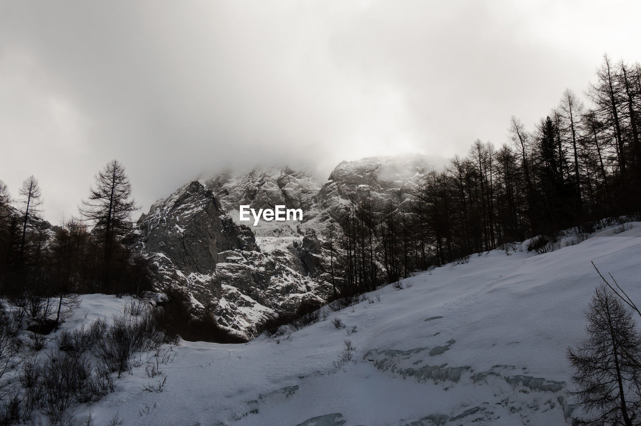 SCENIC VIEW OF SNOW COVERED LANDSCAPE