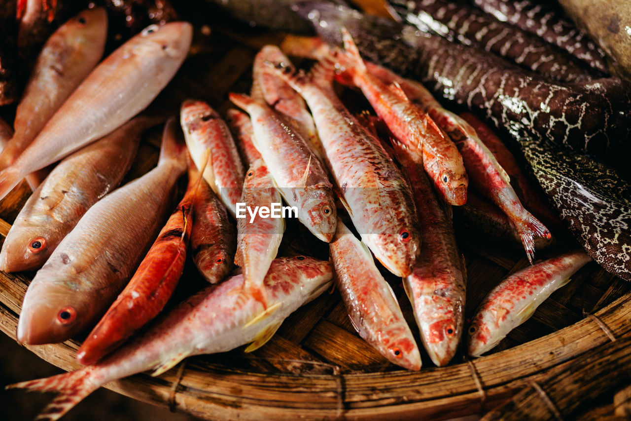 Fish for sale at market