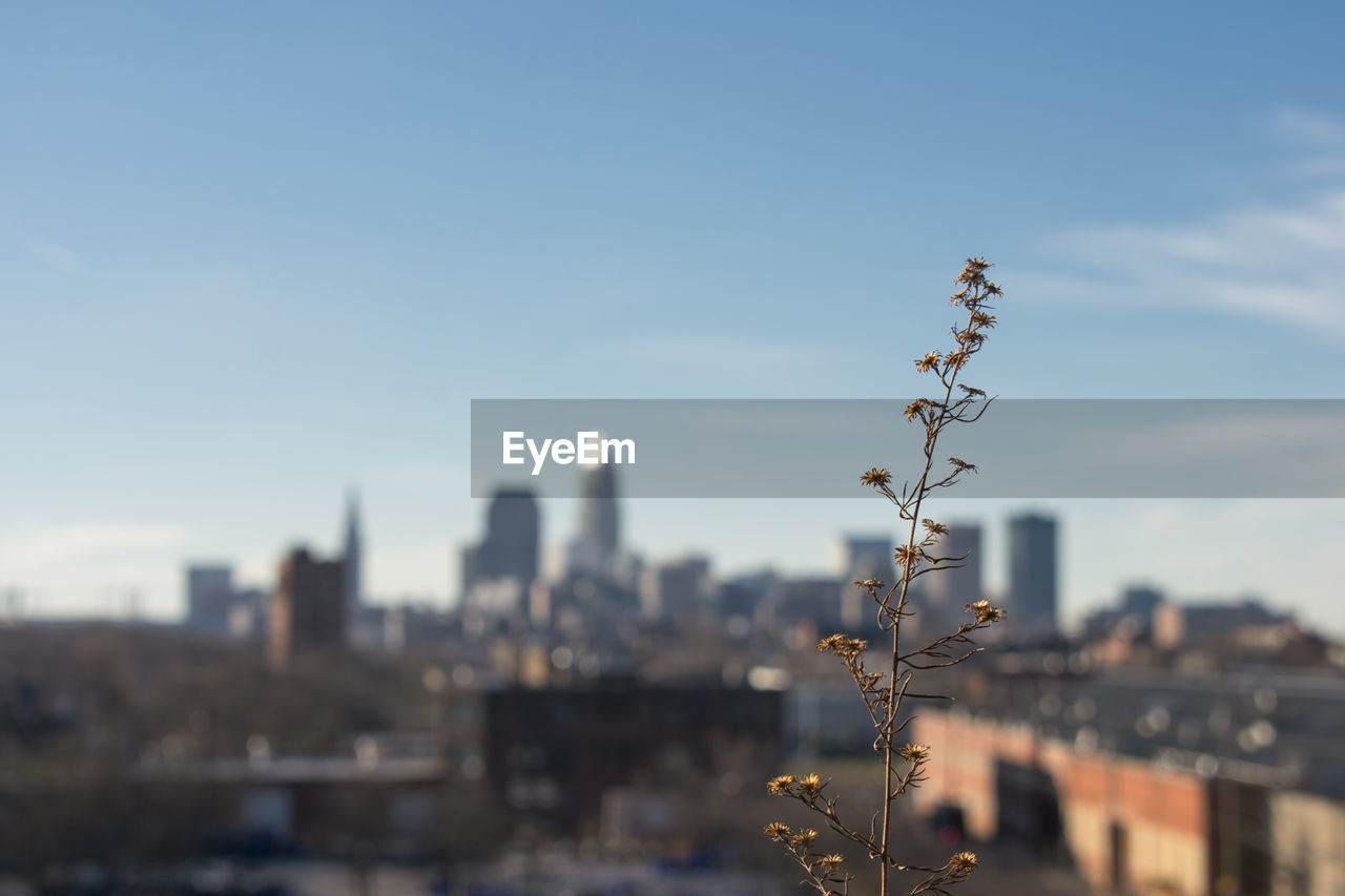 Close-up of cityscape against sky