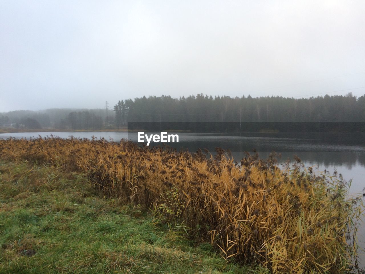 SCENIC VIEW OF LANDSCAPE DURING WINTER