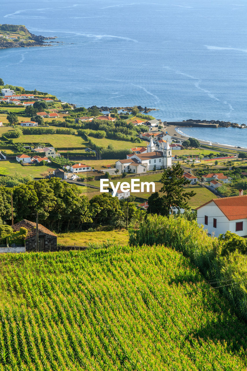 High angle view of trees and houses on field by sea