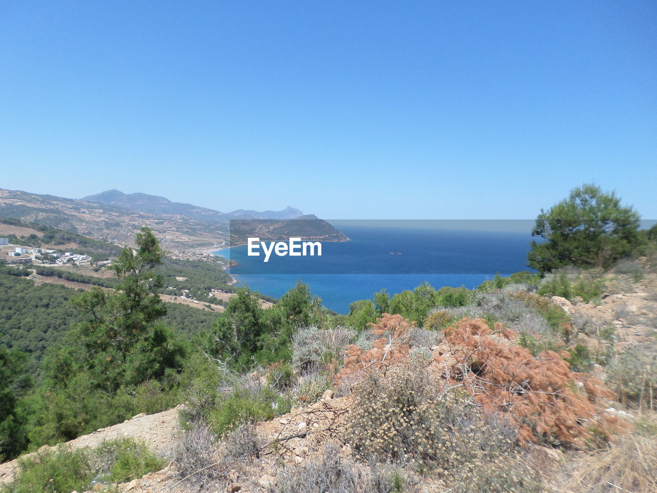SCENIC VIEW OF SEA AND TREES AGAINST CLEAR BLUE SKY