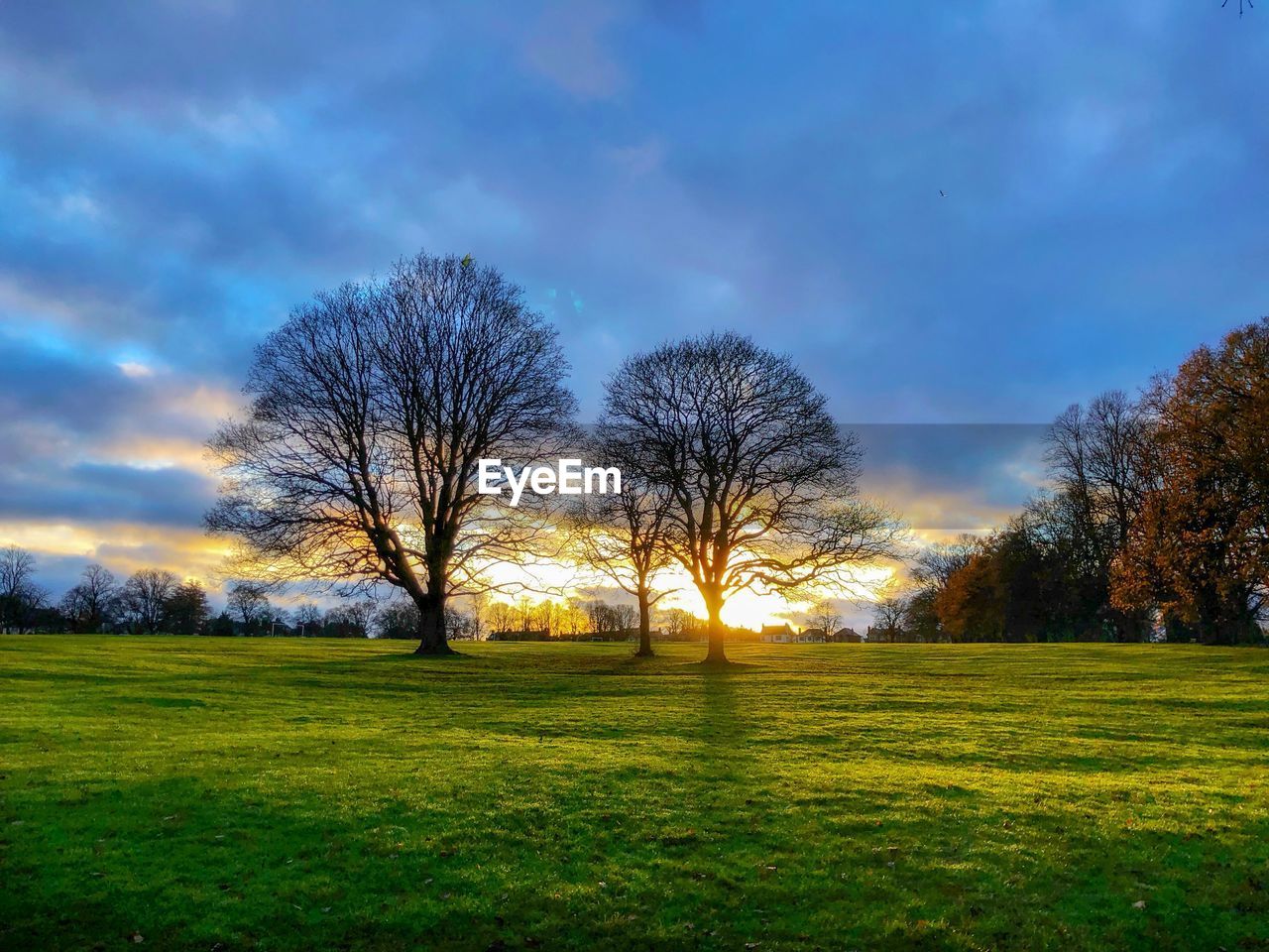 BARE TREES ON FIELD AGAINST SKY DURING SUNSET