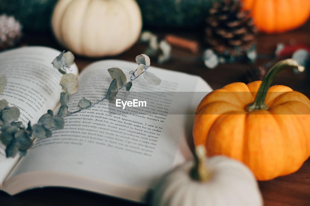 Close-up of book and pumpkins on table