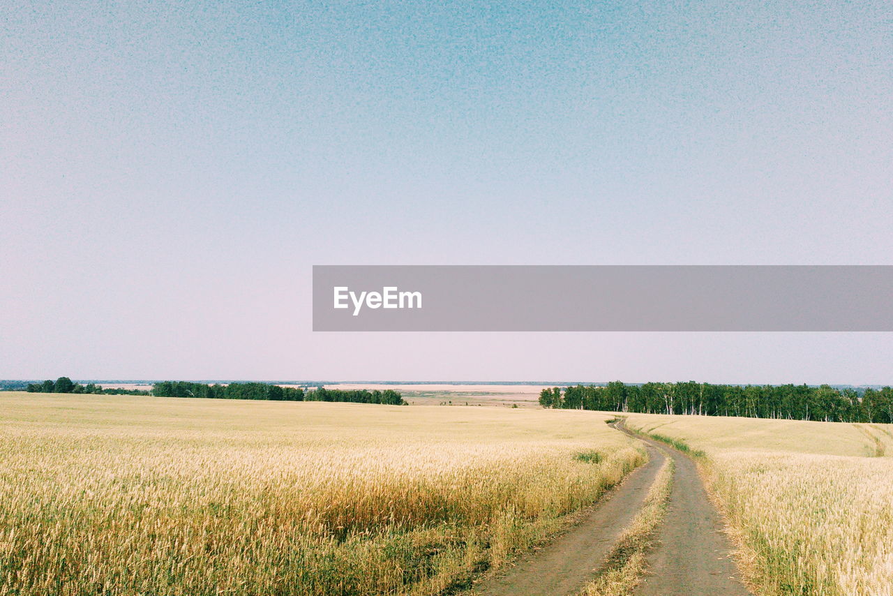 Scenic view of agricultural field against clear sky