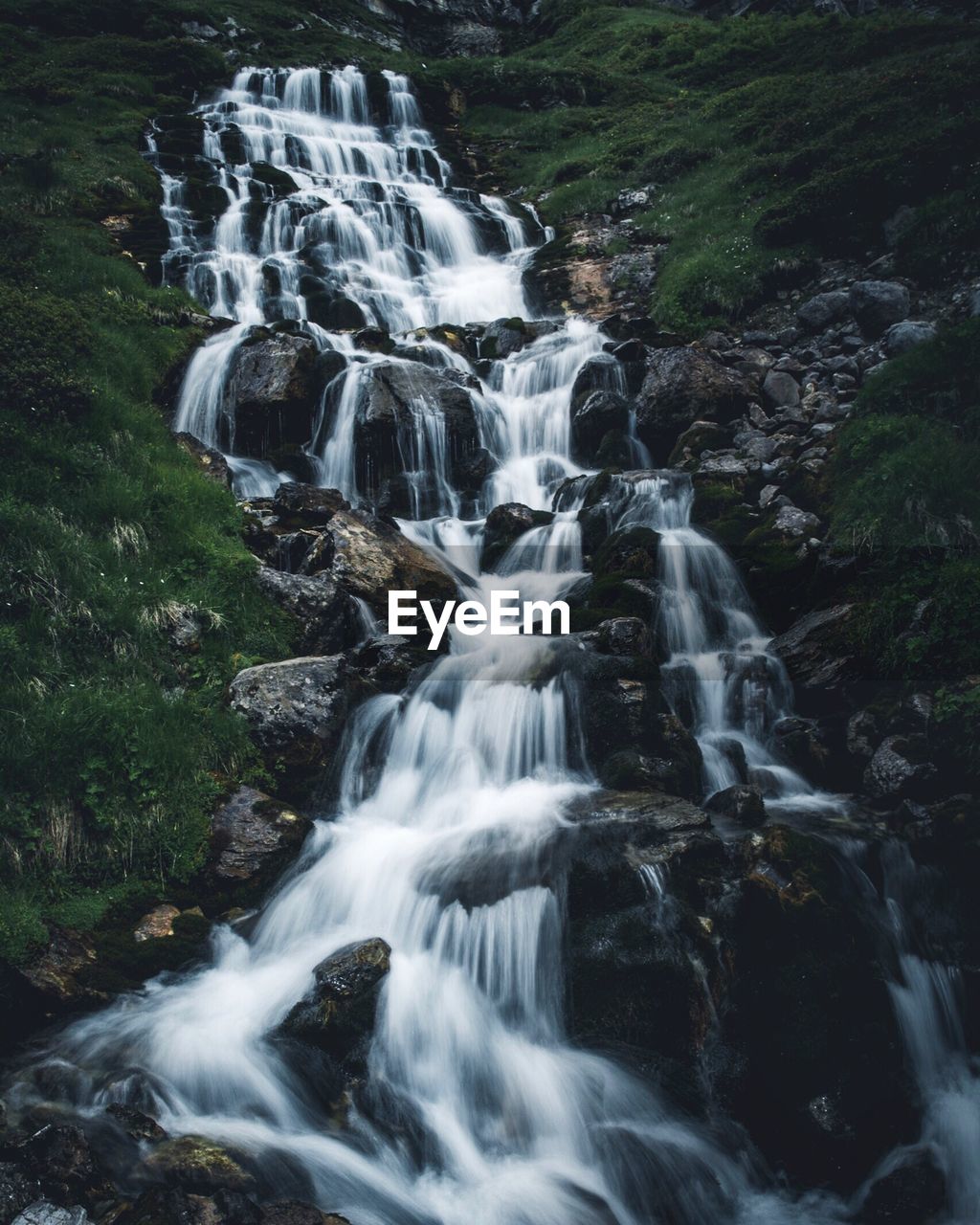 Scenic view of waterfall in forest