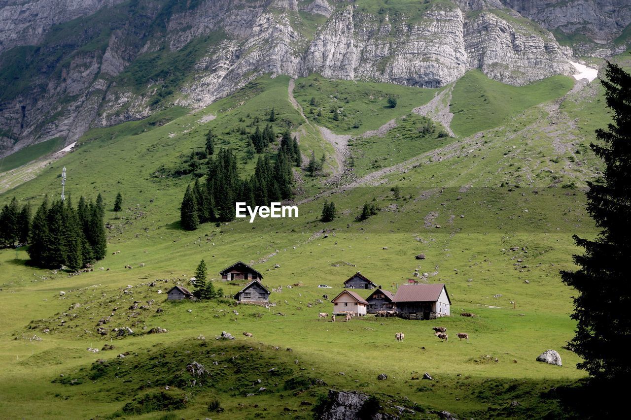 Scenic view of trees and houses against mountains