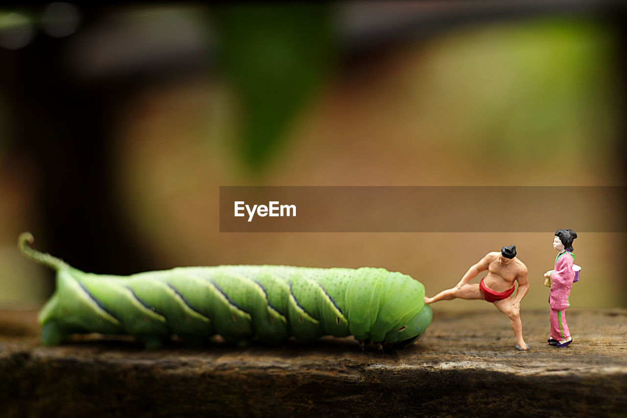 Caterpillar by figurines on wooden railing