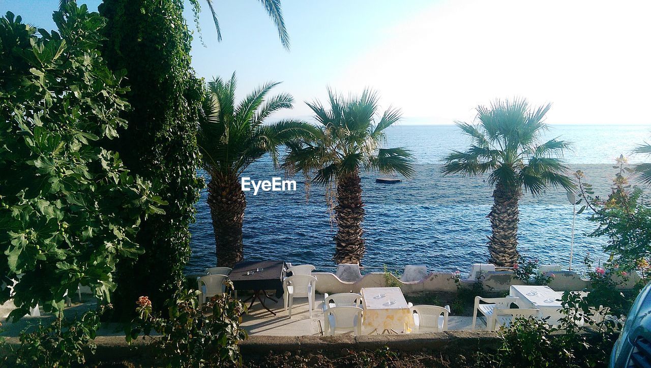 Palm trees by sea against sky