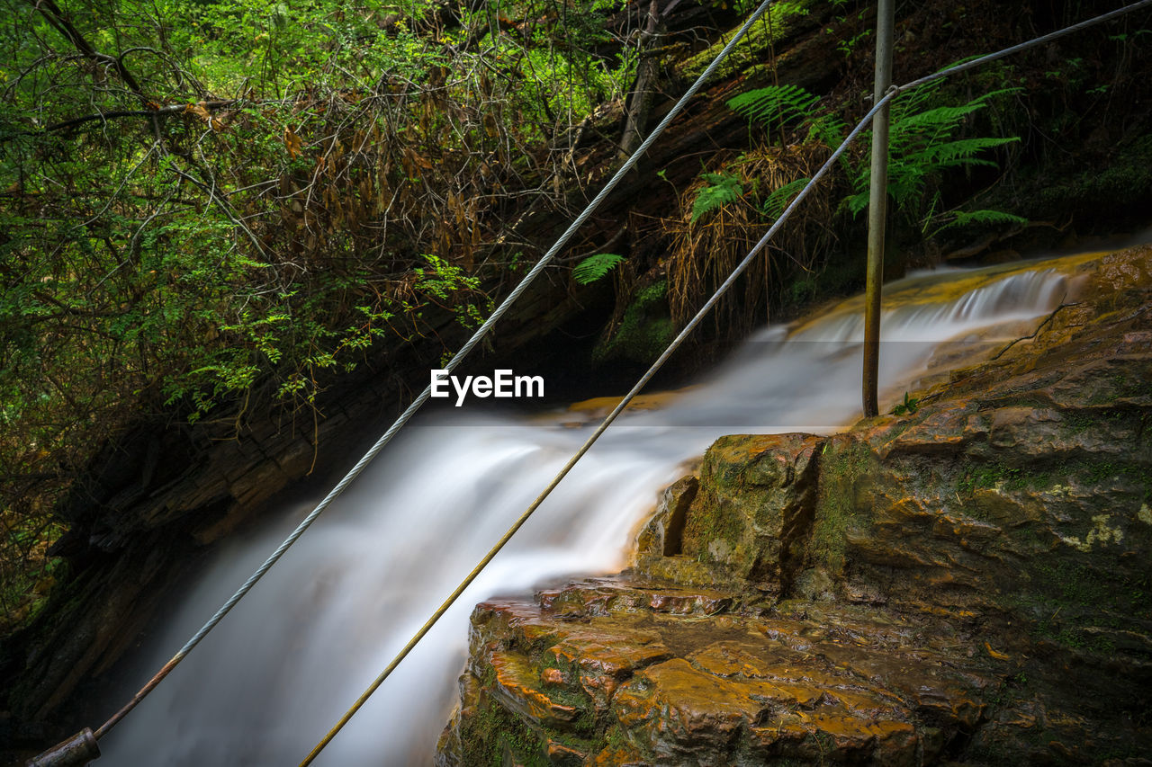 WATERFALL IN FOREST