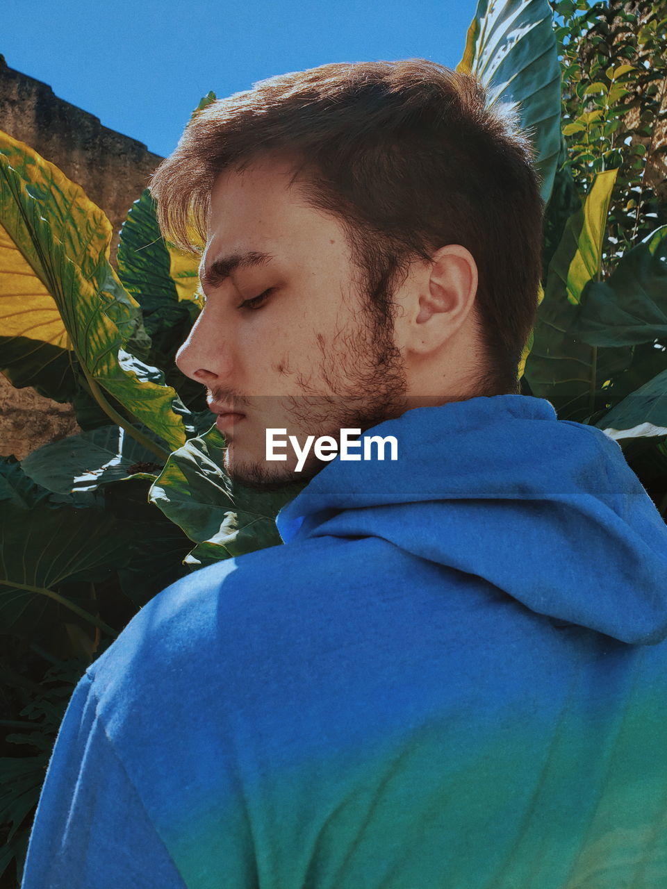 Close-up of man in blue hood - clothing against plants