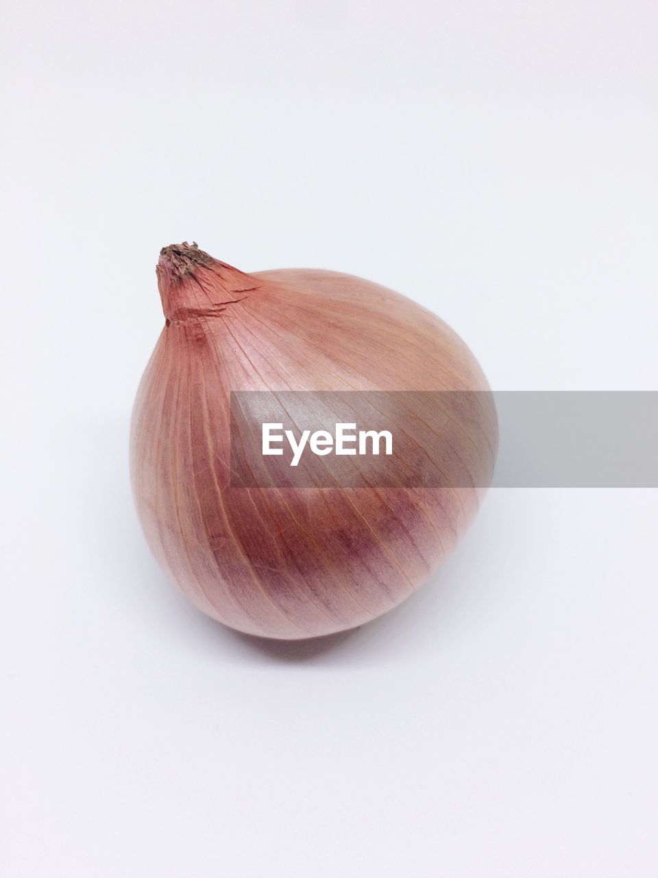 Close-up of onion on white background