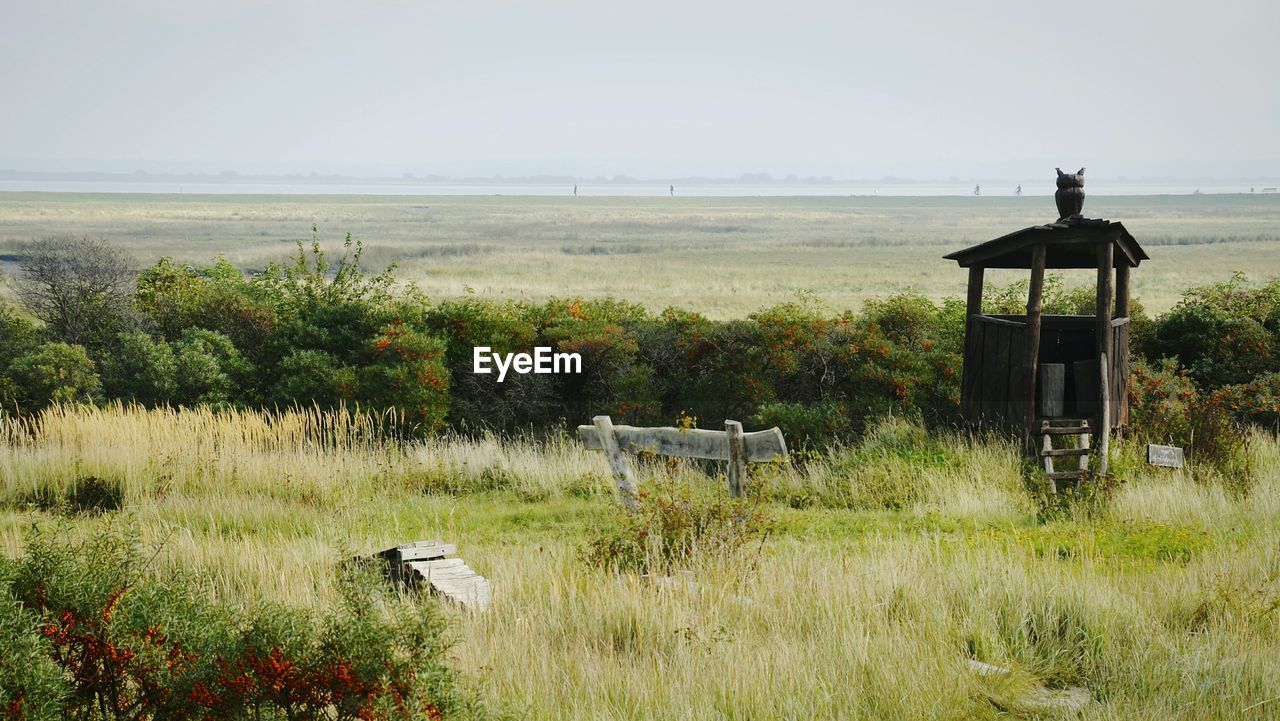 VIEW OF GRASSY FIELD AGAINST SKY