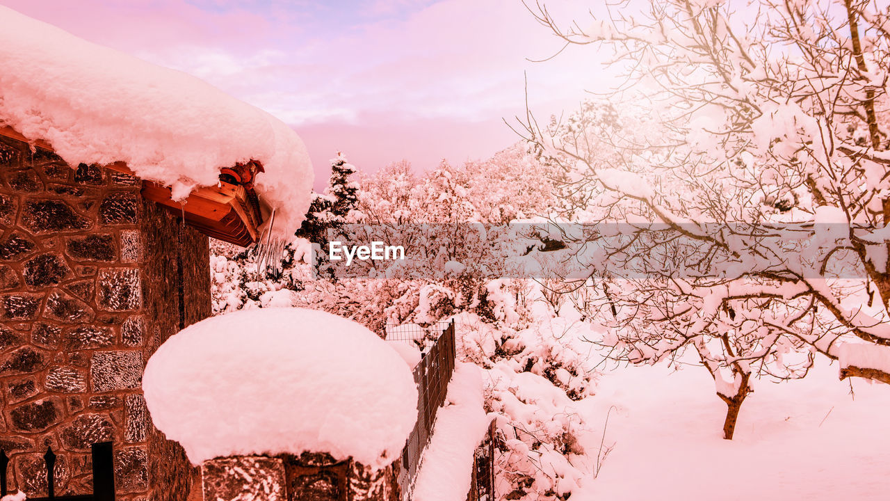 SNOW COVERED CHERRY TREE AGAINST SKY DURING WINTER