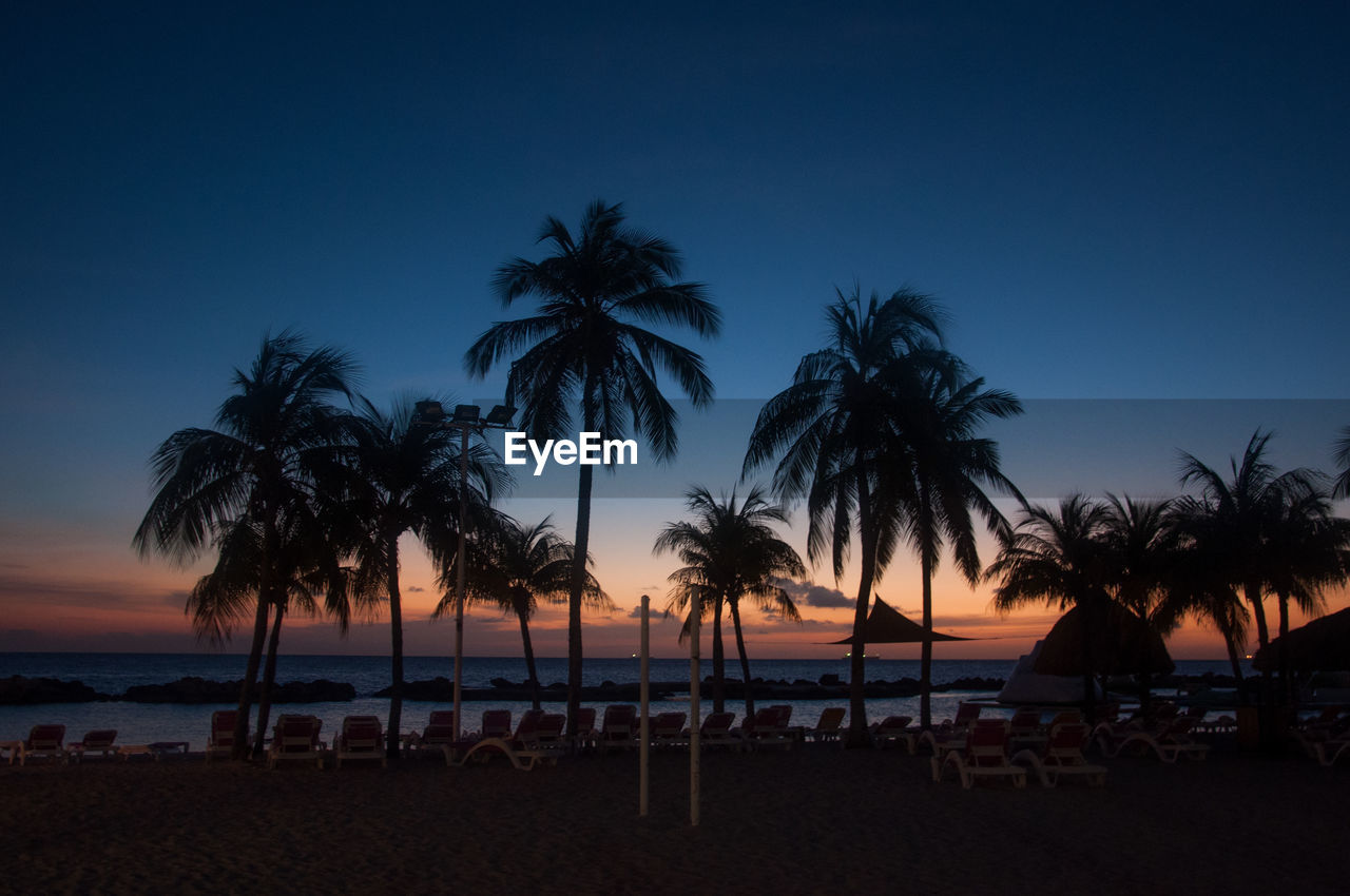 palm trees against sky