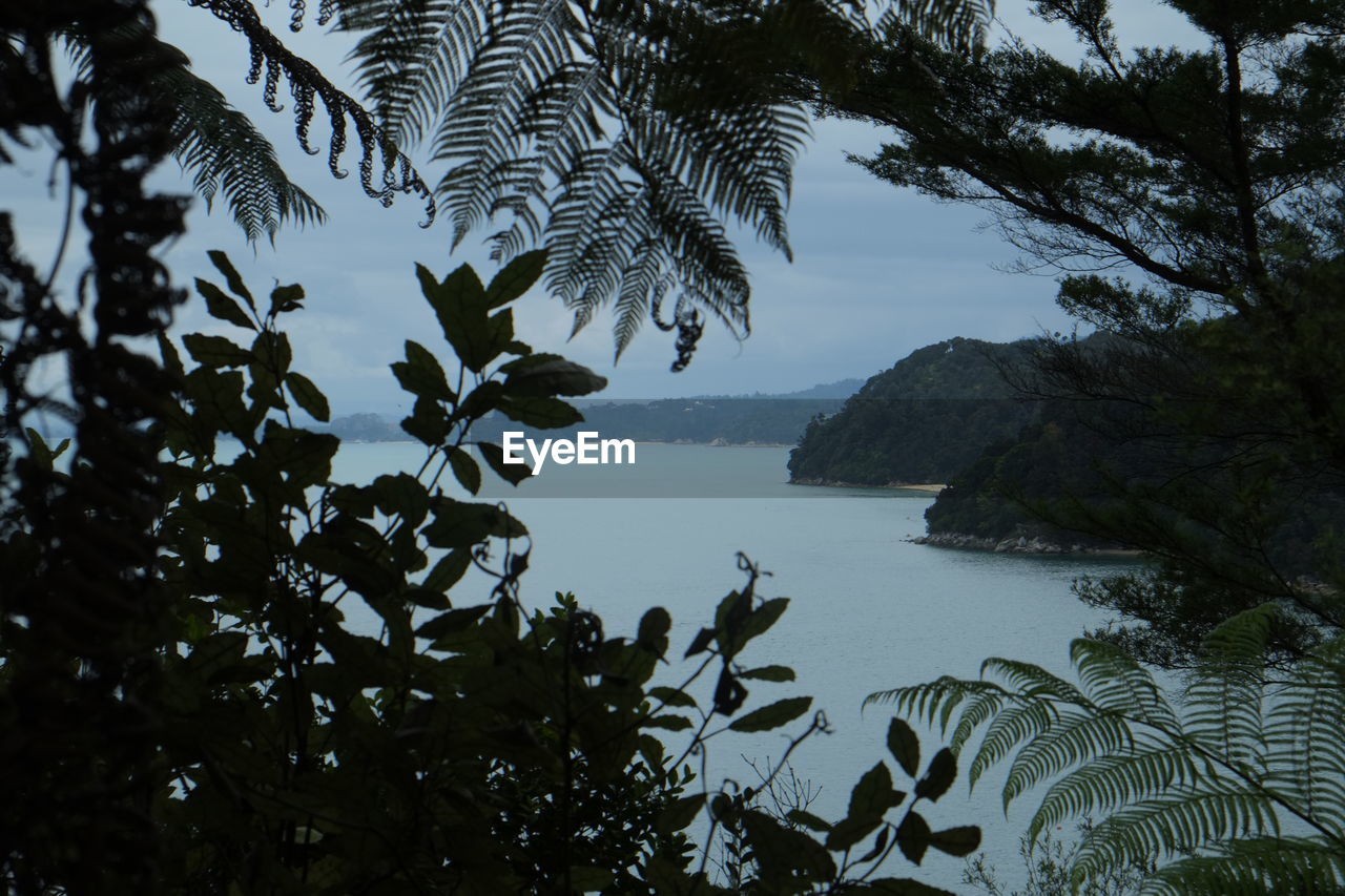 Scenic view of river at dusk