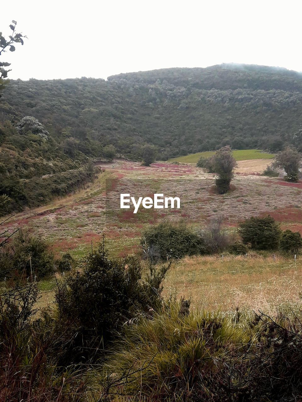 SCENIC VIEW OF LAND AGAINST SKY