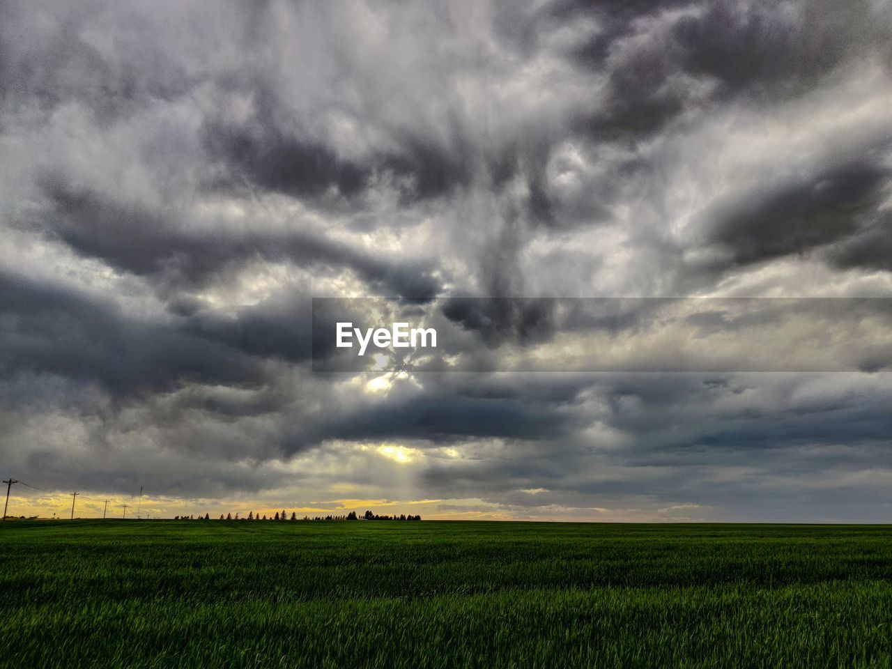 sky, cloud, environment, landscape, field, storm, plant, land, nature, horizon, plain, beauty in nature, rural scene, grassland, agriculture, storm cloud, dramatic sky, scenics - nature, thunderstorm, prairie, cloudscape, no people, grass, crop, horizon over land, cereal plant, green, overcast, growth, outdoors, wet, rain, sunlight, tranquility, sunset, day, tranquil scene, farm, non-urban scene, meadow, dusk