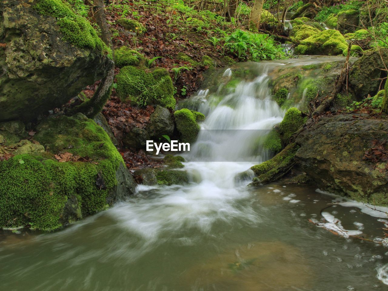 Stream flowing by rocks in forest