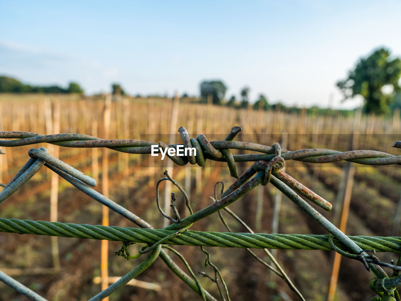 CLOSE-UP OF BARBED WIRE ON FIELD AGAINST SKY