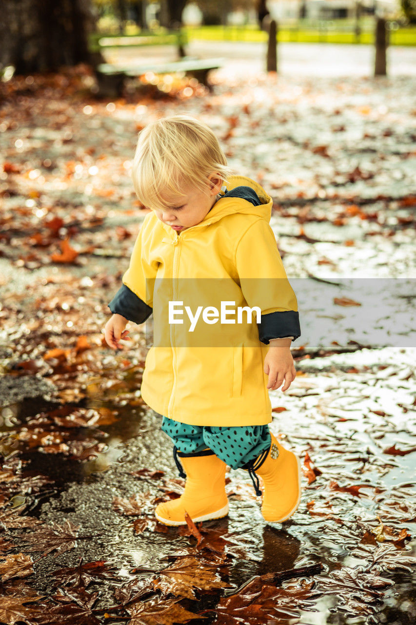 high angle view of boy standing in forest