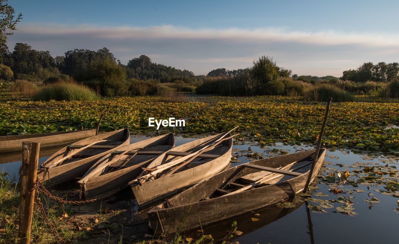 Boats moored in lake against sky