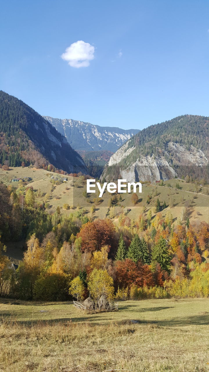 SCENIC VIEW OF TREES AND MOUNTAINS AGAINST SKY