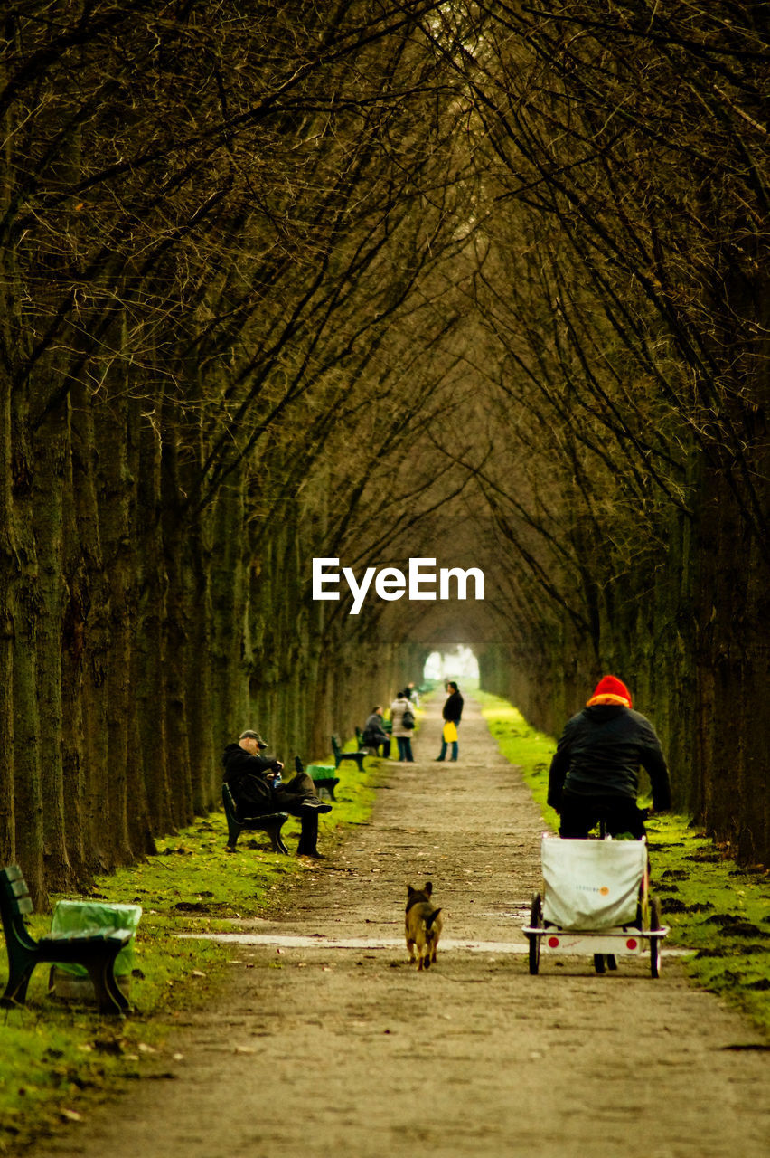 People on pathway amidst bare trees at park