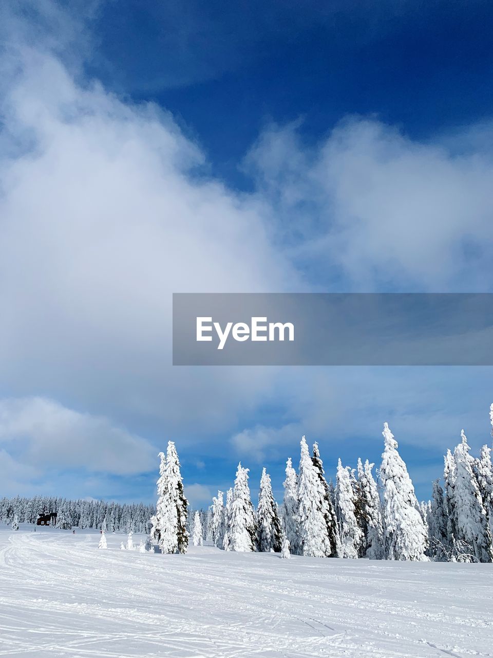 Scenic view of snowcapped landscape against sky