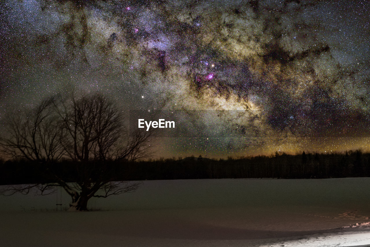 SCENIC VIEW OF SNOW COVERED LANDSCAPE