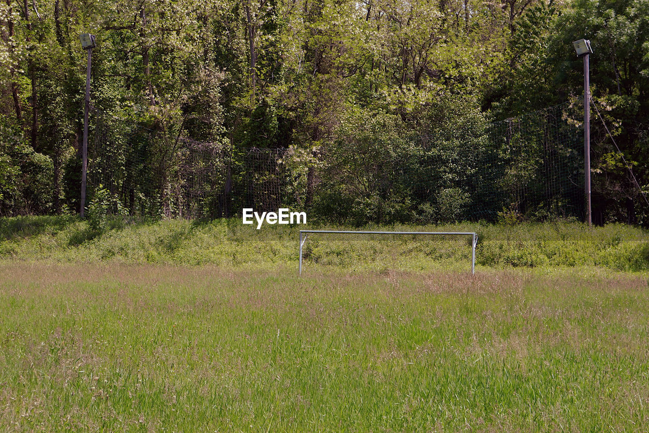 PLANTS GROWING ON FIELD