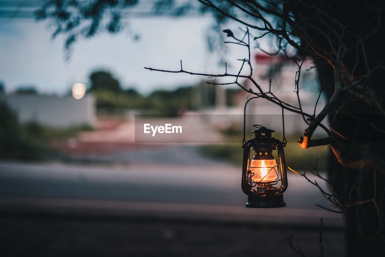 Close-up of illuminated lantern hanging on tree