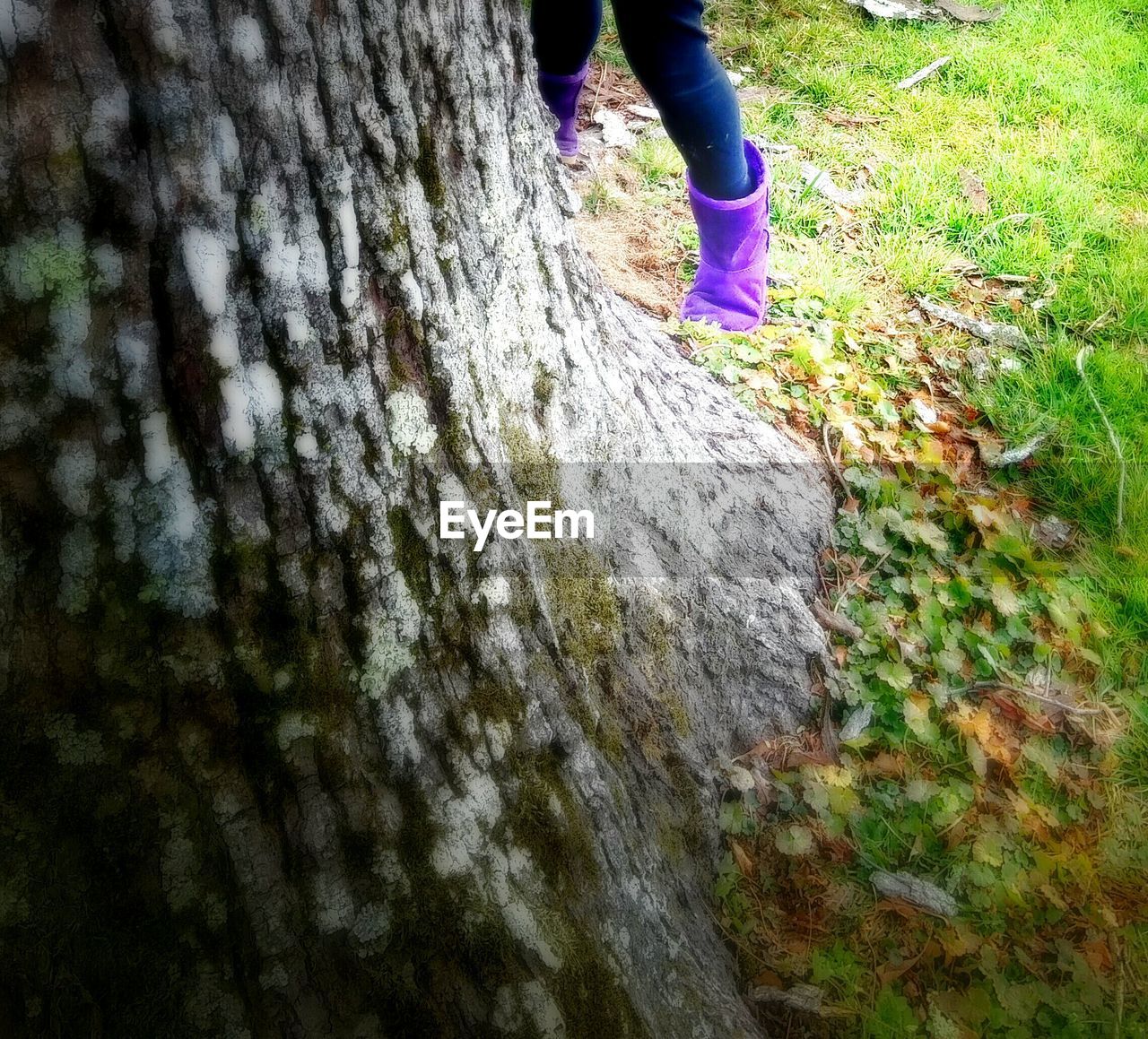 Low section of person standing by tree