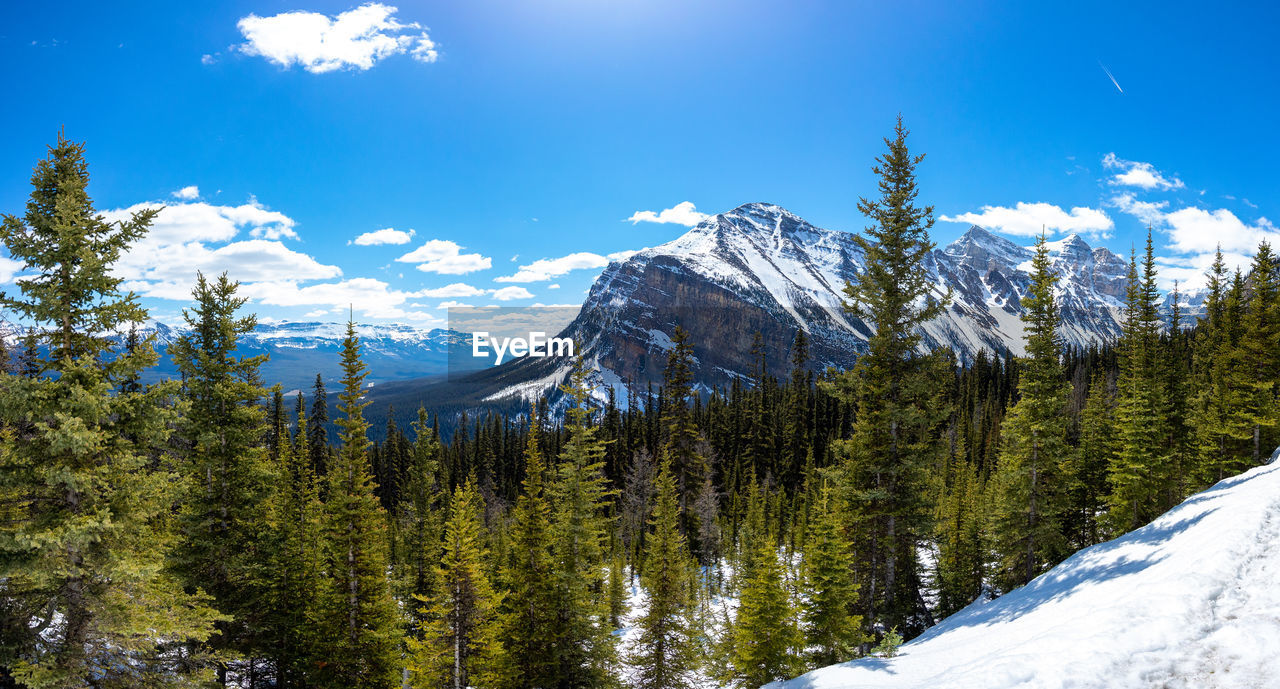 A panoramic view of fairview mountain from the hiking trail below lake agnes.