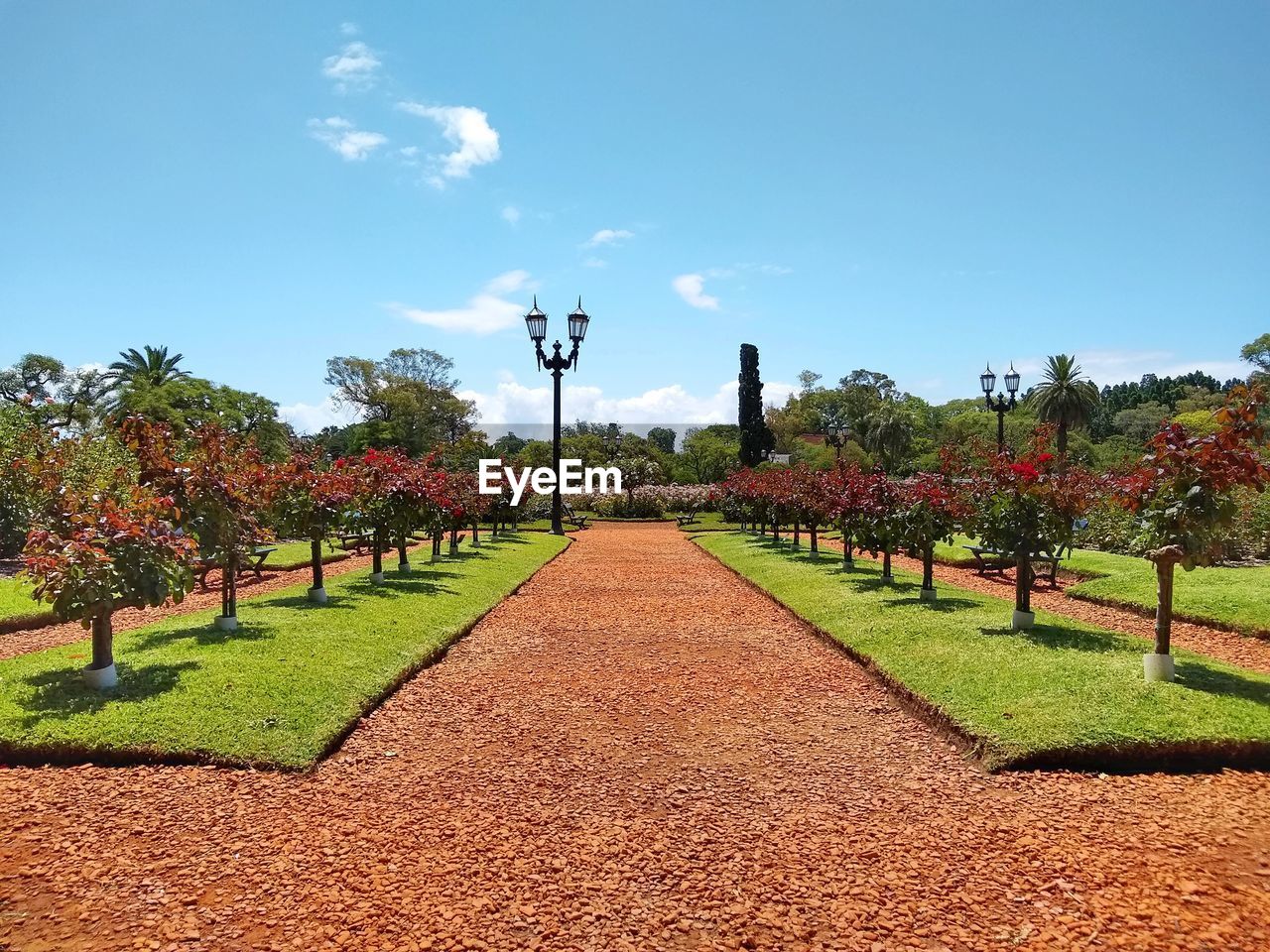 Rosedal rose garden of buenos aires.