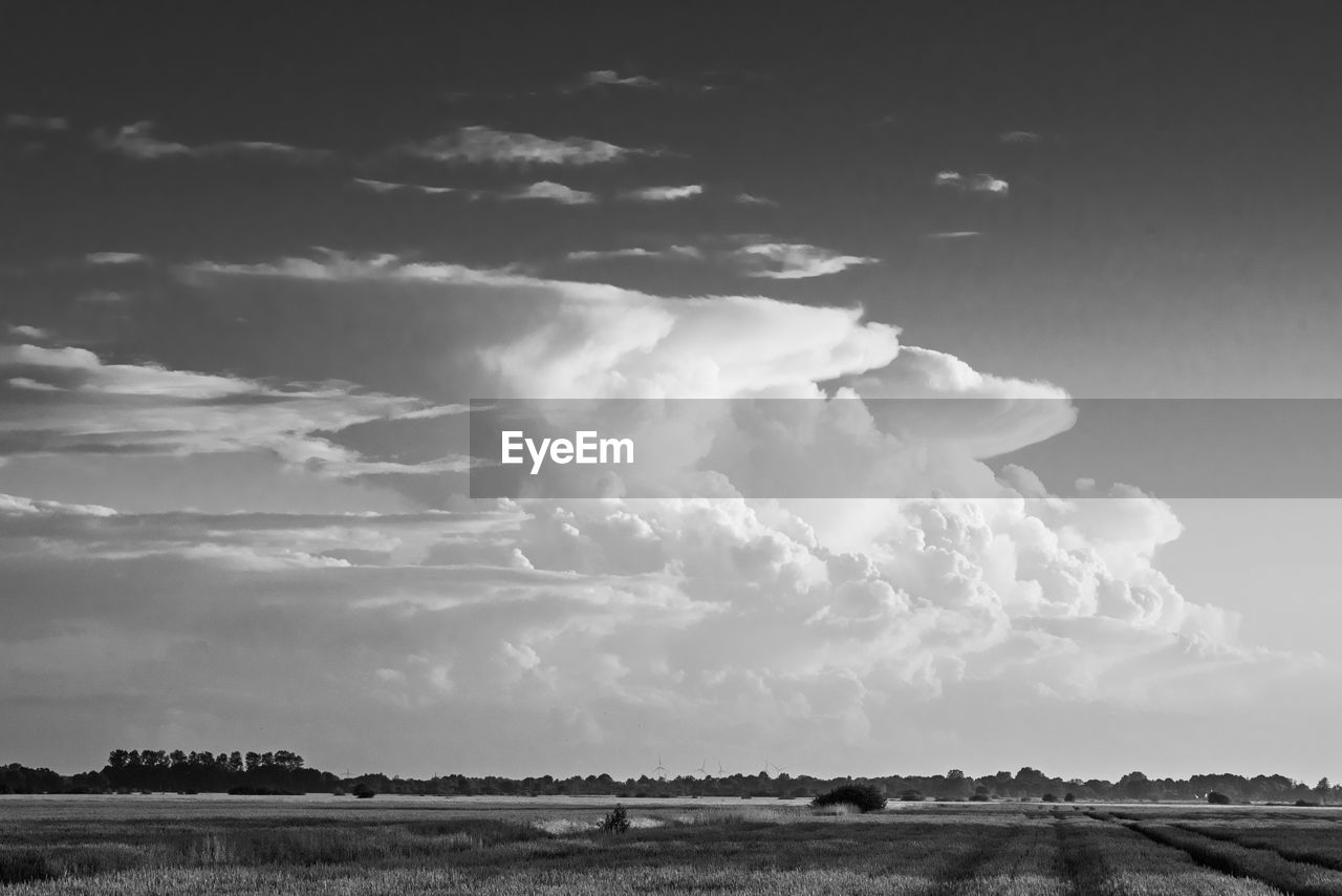 Scenic view of field against sky