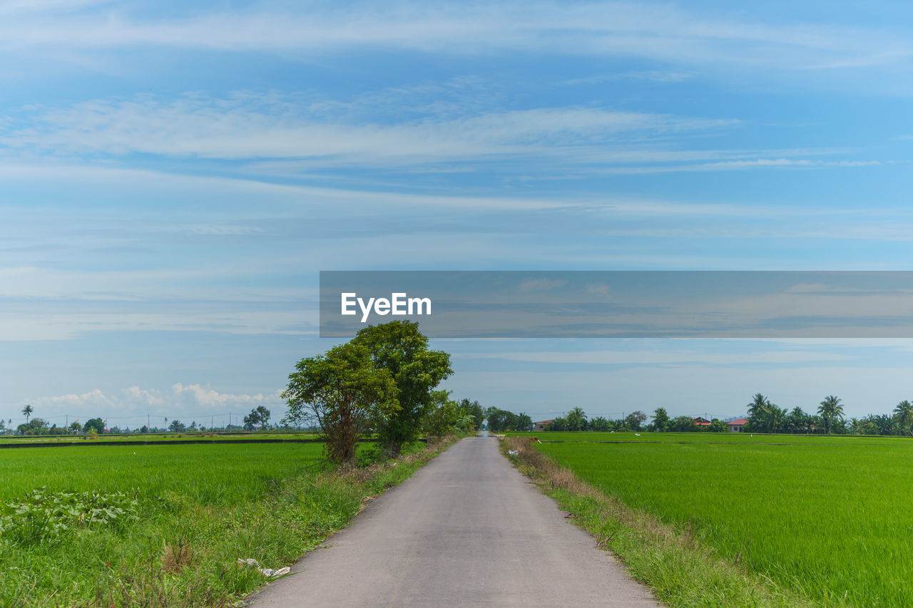 Road amidst field against sky