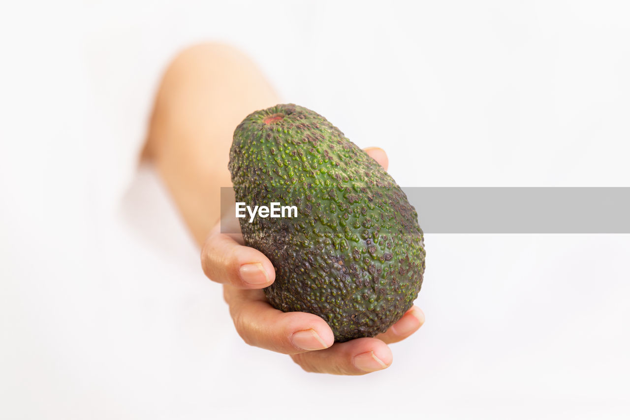 CLOSE-UP OF HAND HOLDING FRUIT