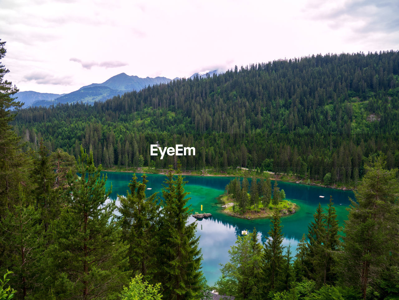 SCENIC VIEW OF LAKE AMIDST TREES AGAINST SKY