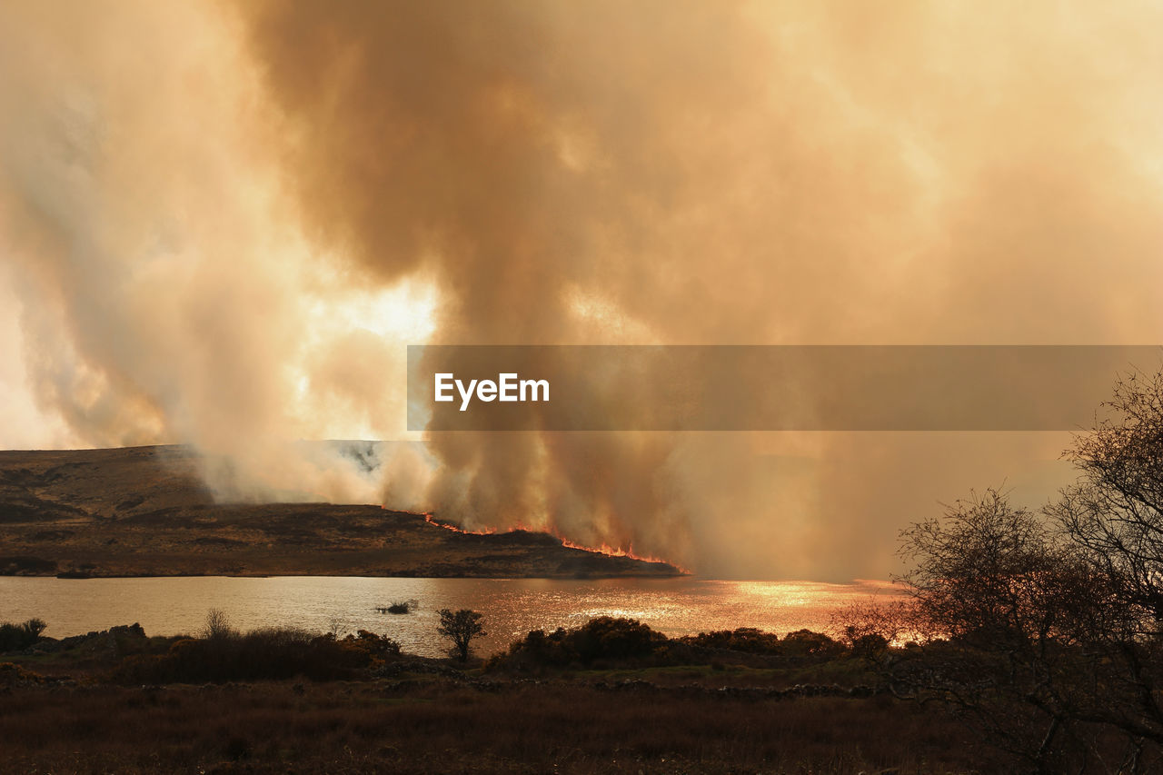 Forest fire at riverbank