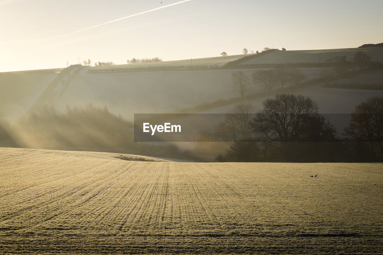 Scenic view of rural landscape