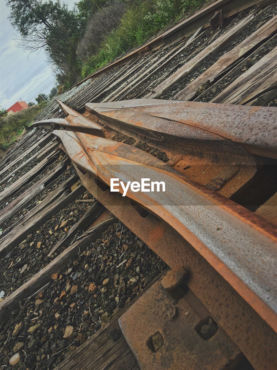 HIGH ANGLE VIEW OF RAILROAD TRACKS BY TREES
