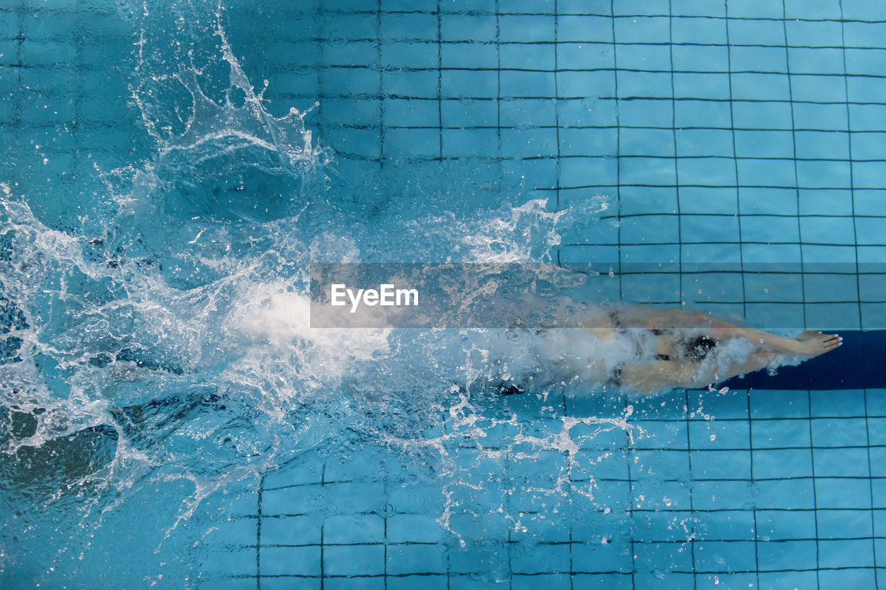 HIGH ANGLE VIEW OF DOG SWIMMING POOL