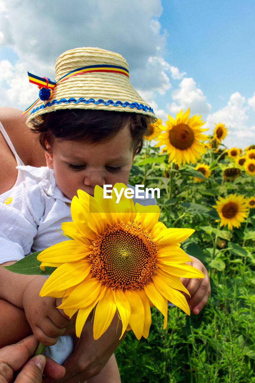 Low angle view of sunflower in field